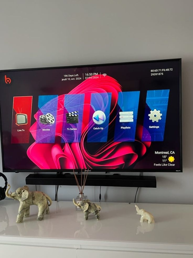 IPTV Fiesta customer review visual 5